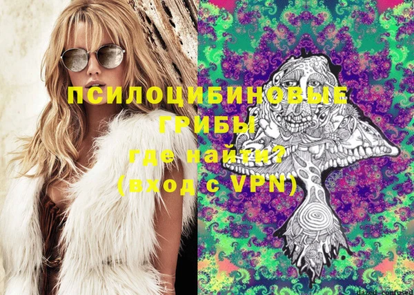мяу мяу мука Богданович