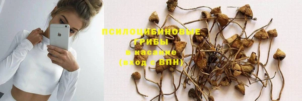 мяу мяу мука Богданович