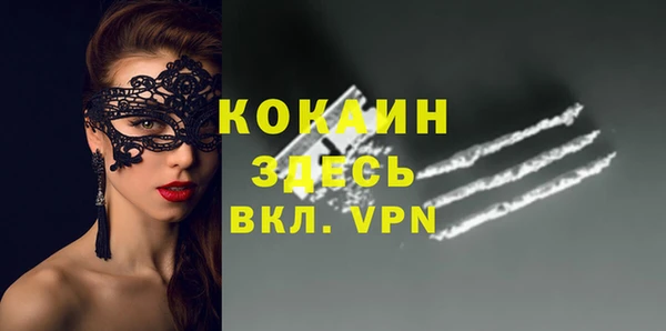 2c-b Богородицк