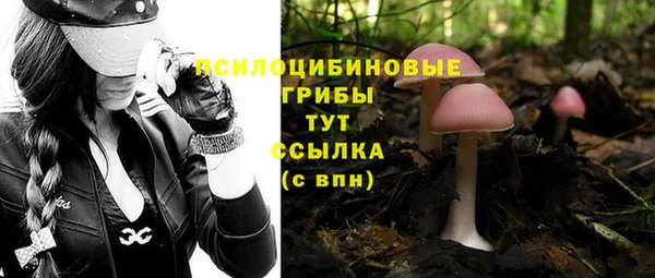 2c-b Богородицк